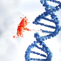 Гендік мутациялар туралы 26 қызықты мәліметтер