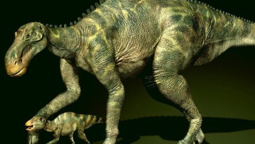 Майазавр туралы 24 қызықты мәліметтер