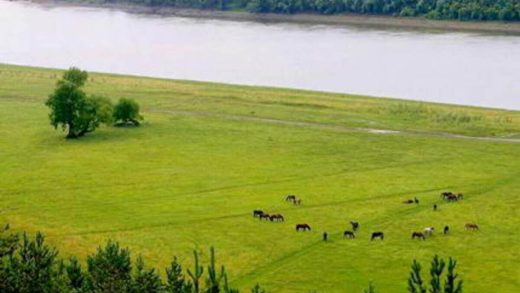 Шығыс Еуропа жазығы туралы 31 қызықты мәліметтер