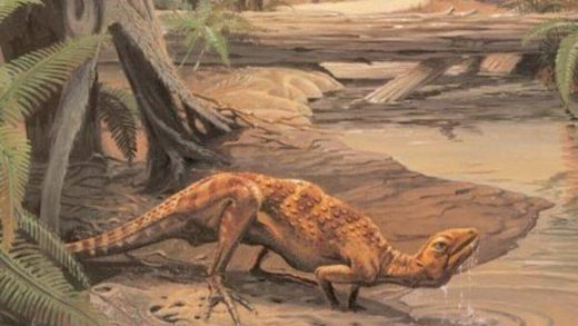 Скутелозавр туралы 22 қызықты мәліметтер