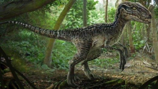 Велосираптор туралы 15 қызықты мәліметтер