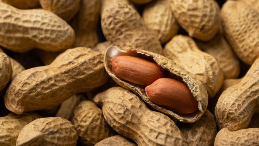 Жер жаңғағы туралы 15 қызықты мәліметтер