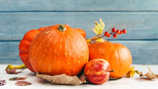 Асқабақ туралы 33 қызықты мәліметтер