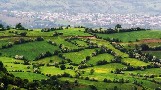 Гилян туралы 16 қызықты мәліметтер