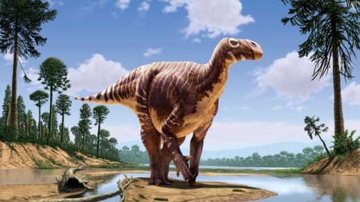 Игуанодон туралы 17 қызықты мәліметтер