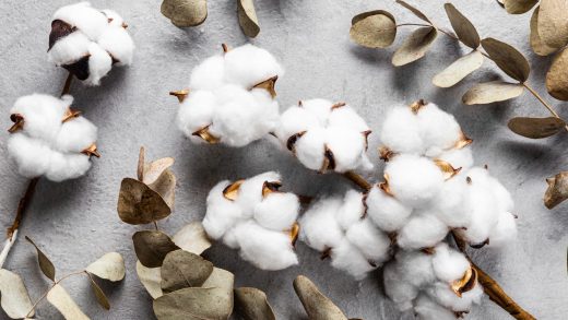 37 интересных фактов о хлопке