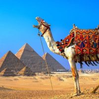 Мысыр туралы 23 қызықты мәліметтер