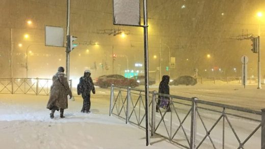 Қарлы борандар туралы 16 қызықты мәліметтер