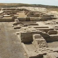 Құлан туралы 17 қызықты мәліметтер