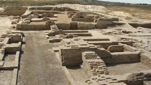 17 интересных фактов о Кулане