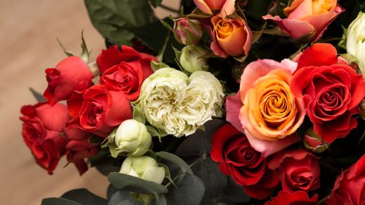 Раушан гүлдері туралы 15 қызықты мәліметтер