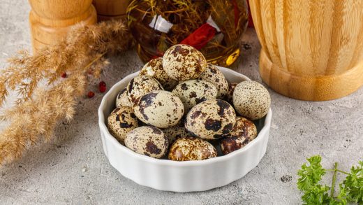 25 интересных фактов о яйцах перепёлки