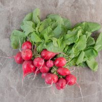 Шалғам туралы 20 қызықты мәліметтер