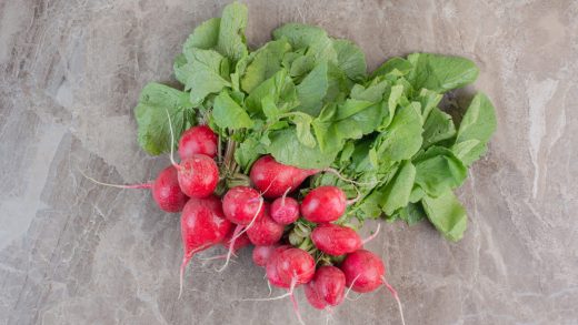 20 интересных фактов о редисе