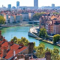 Лион туралы 17 қызықты мәліметтер