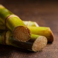 Қант құрағы туралы 30 қызықты мәліметтер