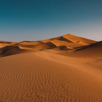 Шөлдер туралы 18 қызықты мәліметтер