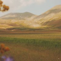 Далалар туралы 22 қызықты мәліметтер