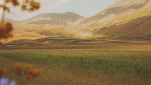 Далалар туралы 22 қызықты мәліметтер