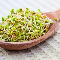 Өскін дәндер туралы 21 қызықты мәліметтер