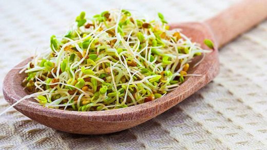 Өскін дәндер туралы 21 қызықты мәліметтер