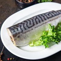 20 интересных фактов о скумбрии