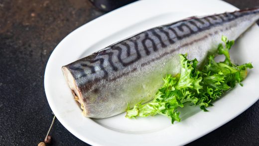 Скумбрия туралы 20 қызықты мәліметтер