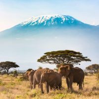 Танзания туралы 25 қызықты мәліметтер