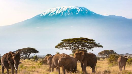 Танзания туралы 25 қызықты мәліметтер